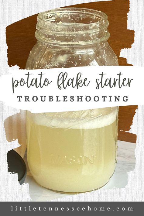 Potato Flake Sourdough Starter Troubleshooting - Little Tennessee Home Sourdough Starter Recipe With Potato Flakes, Potato Flake Sourdough Starter, Dough Starter Recipe, Sourdough Bread Starter, Dough Starter, Sourdough Starter Discard Recipe, Instant Potatoes, Instant Mashed Potatoes, Potato Flakes