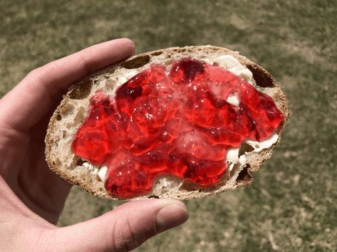 This Prickly Pear Jelly is next level superb.I have never eaten anything like this jelly. I honestly don’t even quite know how to describe it. I have Pear Jelly Recipes, Prickly Pear Jelly, Pear Jelly, Cowboy Candy, Red Lollipop, Jelly Recipe, Jelly Recipes, Prickly Pear, Vegan Gluten Free