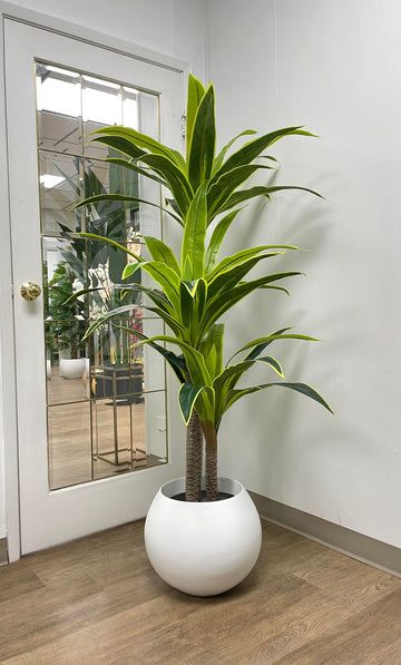 A local store specialize in high quality artificial plants for local wholesalers and retailers in Canada. Famous for quality and competitive price, WAYSAVING only supplies the most realistic artificial products to our customers. Artificial Plants Decor, Vertical Garden Indoor, Yucca Plant, Fake Plants Decor, Household Plants, Corner Space, Living Room Plants, Artificial Potted Plants, Interior Plants