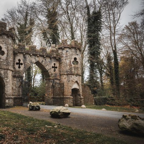 Dark Ireland Aesthetic, Northern Ireland Aesthetic, Ireland Dark Aesthetic, Northern Ireland Landscape, Ireland Aesthetic, County Antrim Northern Ireland, Dog Adventure, Happy Bday, Forest Park