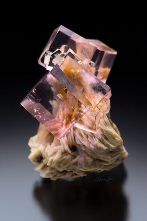 Minerals - Mineral Masterpiece Magic Stones, Mineral Jewelry, Fine Minerals, Cool Rocks, Beautiful Rocks, Mineral Stone, Minerals And Gemstones, Rocks And Gems, Natural Minerals