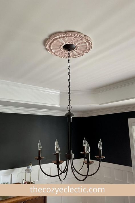 Pink ceiling medallion in black dining room Light Fixture With Medallion, Black Ceiling Medallion, Black Dining Room Ideas, Room Ideas Pink, Ceiling Medallion Chandelier, Moody Dining Room, Cozy Eclectic, Pink Ceiling, Eclectic Dining Room