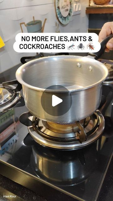 Hani Kour🧿Home Decor | DIY| Gardening on Instagram: "How to get rid of cockroaches/fruit flies& Ants from Home.....

Sharing Monsoon'z Best DIY Solution 🙌

Try this & let me know the results.....

Save,share & follow for more home hacks.....

[Home hacks,DIY, Kitchen Hacks, get rid of cockroaches/flies]

#homehack #kitchenhack #diysolutions" Fruit Fly Spray Diy, How To Get Rid Of German Roaches Fast, Natural Roach Repellent For Home, Flies In House Get Rid Of, How To Get Rid Of Nats In The House, How To Get Rid Of Roaches, How To Get Rid Of Flies In The House, How To Get Rid Of Flies, Roaches Get Rid Of Diy