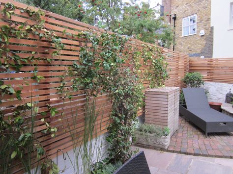 Revamp of a Battersea garden on a budget. I used new stone paving and baton fencing but retained the old bricks. Believe it or not the garden is a triangle shape. Baton Fence, Baton Fencing, Triangle Shaped Garden, Privacy From Neighbors, Patio Materials, Pergola Garage Door, Panel Fence, Desert Gardens, Stone Paving