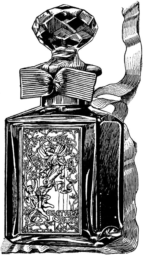 An illustration of a perfume bottle. Aqua Tofana Tattoo, Aqua Tofana, Ashley Davis, Poison Bottle, Bottle Tattoo, Wood Burning Patterns, Pretty Images, Vintage Bottle, Vintage Perfume Bottles