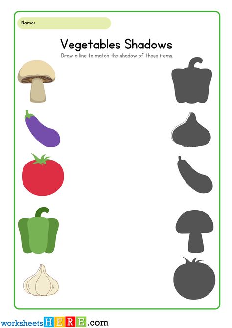 Vegetables Shadows Matching Activity PDF Worksheets For Kindergarten - WorksheetsHere.com Worksheet On Vegetables For Kindergarten, Classroom Posters Elementary, Ash Gourd, Shadow Matching, Raw Mango, Bitter Gourd, Worksheets For Kindergarten, Matching Activity, Collard Greens