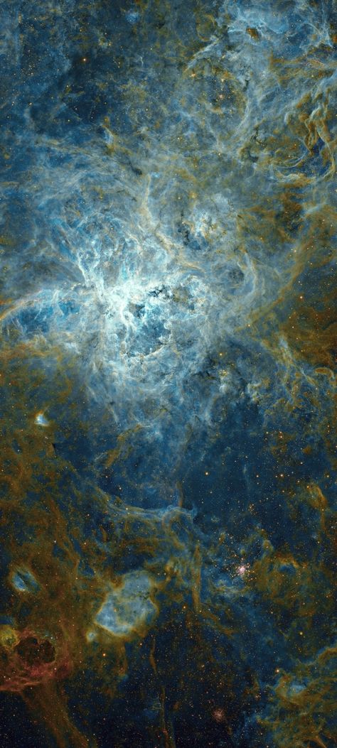 NGC-2070 the Tarantula Nebula cropped close up mobile wallpaper 1080x2400 Tarantula Nebula, Nebula Wallpaper, Galaxy Wallpapers, Wolf Spirit Animal, 8k Wallpaper, Wolf Spirit, Space And Astronomy, Out Of This World, Outer Space