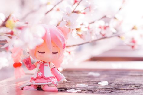 Sakura Miku Icon, Sakura Miku Aesthetic, Sakura Miku Banner, Sakura Miku Laptop Wallpaper, Strawberry Miku Nendoroid, Sakura Miku Nendoroid, Sakura Hatsune Miku Figurine, Baby Buddha, Miku Chan