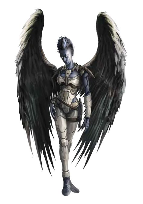 Female Strix Mystic - Komarta - Starfinder Pathfinder PFRPG DND D&D 3.5 5E 5th ed d20 fantasy Strix Pathfinder, Winged People, Sci Fi Character Design, Alien Concept, Star Character, Fantasy Races, Game Inspiration, Fantastic Art, Dnd Characters