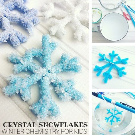 Crystal Wonderland Science Project - Little Bins for Little Hands Borax Crystals Diy, Borax Snowflakes, Snowflakes Science, Winter Science Experiments, Borax Crystals, Winter Science, Growing Crystals, How To Make Crystals, Snow Flakes Diy