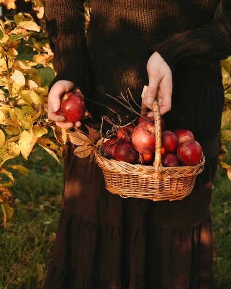 Ellen Tyn, Equinox Ritual, Pagan Celebrations, Earth Magick, Vsco Nature, Thanksgiving Time, Autumn Sun, Autumnal Equinox, Witch Garden