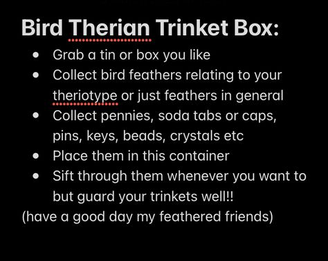 Bird Therian Tips, Bird Therian Gear, Crow Therian, Therian Things To Do When Bored, Bird Therian, Otherkin Cringe, Therian Quadrobics Tutorial, Species Dysphoria Therian, Camping With Cats