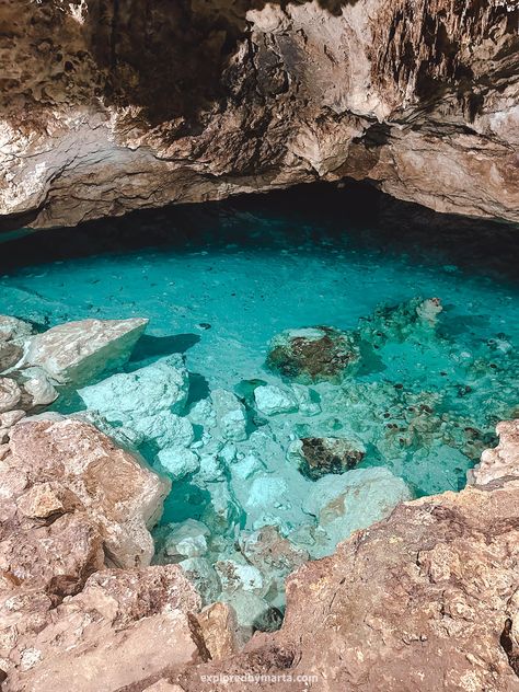 Ring of Cenotes: 15 beautiful cenotes near Merida, Mexico Merida Mexico Aesthetic, Mexico Aesthetic, Palm Lines, Mural Inspiration, Narrow Staircase, Merida Mexico, Yucatan Mexico, Ancient Mayan, Colonial Architecture