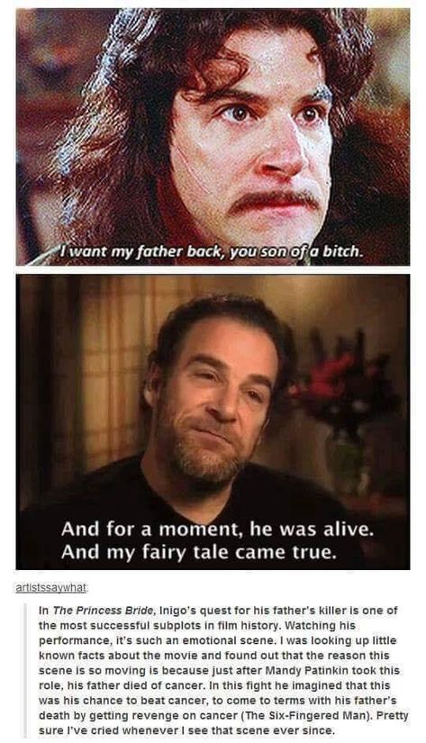 The Princess Bride Inigo Montoya, The Princess Bride Funny, The Princess Bride Funny Memes, Princess Bride Aesthetic, The Princess Bride Quotes, Princess Bride Art, Princess Bride Funny, Inigo Montoya, The Princess Bride