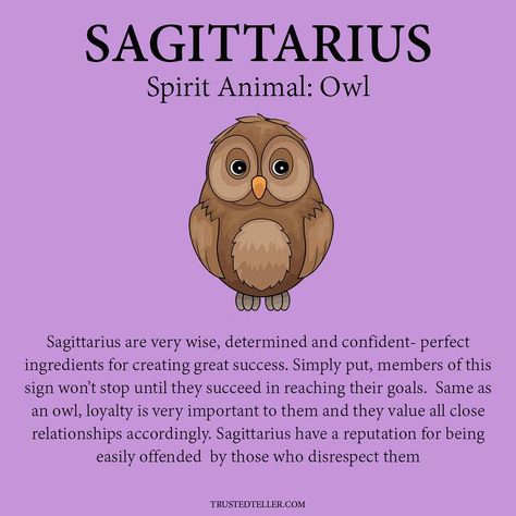 Sagittarius Spirit Animal, Zodiac Sagittarius Facts, Sagittarius Personality, Zodiac Sign Sagittarius, Sagittarius Traits, Sagittarius Astrology, Sagittarius Moon, Zodiac Things, Sagittarius Quotes