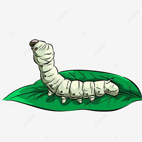 Silk Worm Drawing, Earth Worm Drawing, Inch Worm Drawing, Pupa Drawing, Silkworm Illustration, Worm Drawing Cute, Worm Artwork, Worm Sketch, Cocoon Drawing