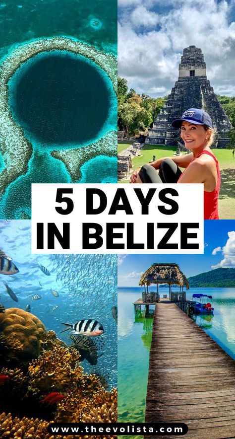 5 Days In Belize | What to do in Belize | Hidden Gems In Belize | Belize travel guide | Bucket list locations for Belize travel | Where to stay in Belize | Where to go in Belize | How to plan the best Belize vacation | Tips for spending 5 days in Belize | Top Belize excursions | Travel tips for Belize | Epic locations in Belize | Epic photo spots in Belize | Best things to see in Belize | San Pedro Belize | San Ignacio Belize | Blue Hole Belize #belize #traveltips Belize Trip, Things To Do In Belize, San Ignacio Belize, Belize Travel Guide, Travel Belize, Belize Vacation, San Pedro Belize, Belize Barrier Reef, Belize Beach