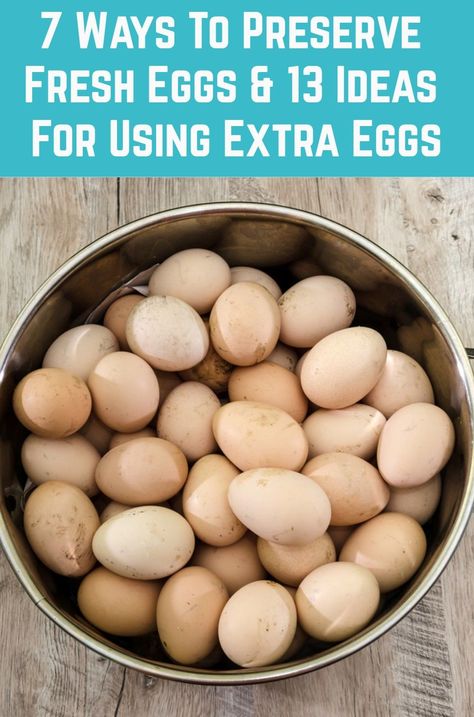 How To Hide Eggs In Food Kids, What To Do With Excess Eggs, Ways To Preserve Eggs, Chicken Egg Storage Ideas, Extra Eggs What To Do With, Things To Do With Eggs, Recipes To Use Up Eggs, Egg Preservation, Use Up Eggs