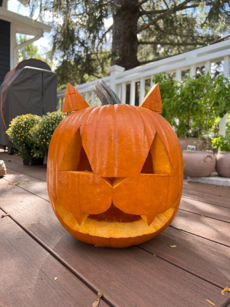 Large orange pumpkin with cat face carved into it with ears pierced into the top Simple Cat Jack O Lantern, Easy Pumpkin Carving Ideas Animals, Vet Med Pumpkin Carving, Easy Kids Pumpkin Carving, Pumpkin Carving Designs For Kids, Pumpkin Carving Ideas Dogs Easy, Kitten Pumpkin Carving, Cat Pumkins Ideas Carving, Cat Pumpkins Carvings