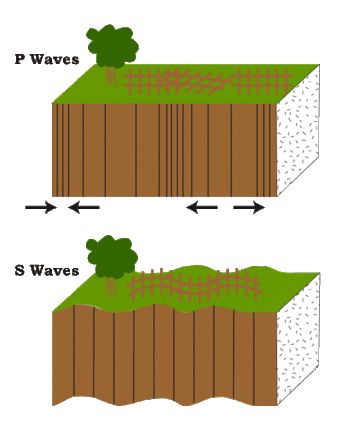 P Waves and S Waves in the Crust Waves Science, S Waves, Map Of California, Seismic Wave, P Wave, Ocean Science, S Wave, Plate Tectonics, Green Frog