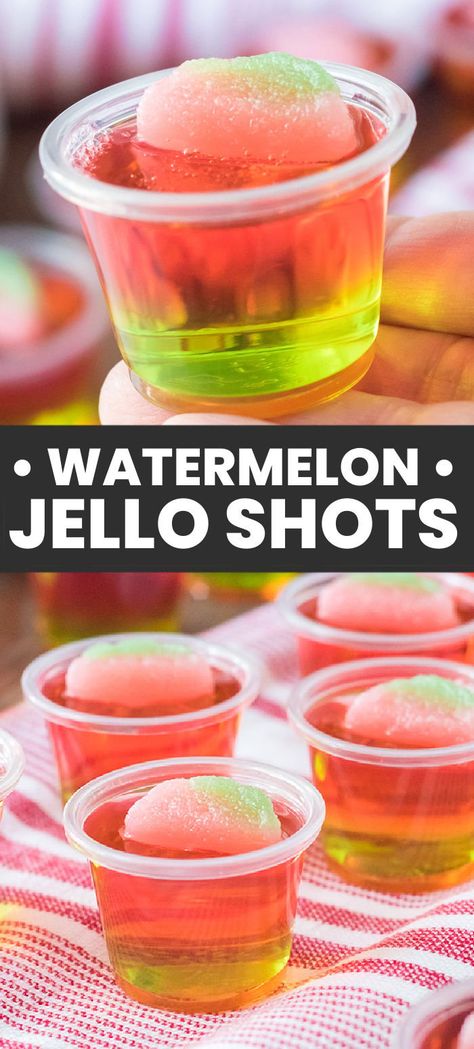 These easy layered watermelon jello shots are so good! Green and pink jello give these shots their watermelon look with a sour watermelon candy on top for fun! Perfect for a warm weather treat. Red Jello Shots, Watermelon Shots, Jolly Rancher Jello, Watermelon Jello Shots, Best Jello Shots, Watermelon Jello, Jello Shots Vodka, Jello Shots Recipe, Jello Pudding Shots