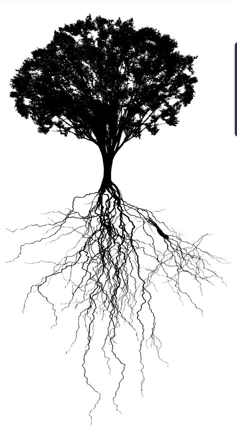 Tree Roots Drawing, Roots Aesthetic, Tree With Deep Roots, Yggdrasil Tattoo, Roots Drawing, Tree Roots Tattoo, Jhin League Of Legends, Roots Tattoo, Lightning Tattoo