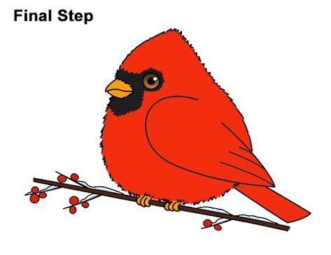 Draw a cute cartoon cardinal bird in 15 easy-to-follow steps. By How2DrawAnimals. #cardinalbird #cartoon #drawing #howtodraw Easy Cardinal Drawing, Cartoon Cardinal, Draw A Cardinal, Cardinal Drawing, Paint Sketches, Labrador Silhouette, Cartoon Drawing Ideas, Felt And Embroidery, Drawing Instructions