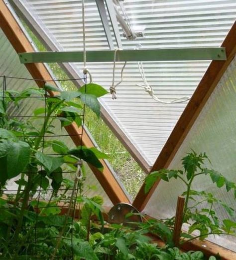 Greenhouse Dome, Geodesic Greenhouse, Greenhouse Interior, Geodesic Dome Greenhouse, Solar Greenhouse, Dome Greenhouse, Geodesic Dome Homes, Greenhouse Interiors, Home Greenhouse