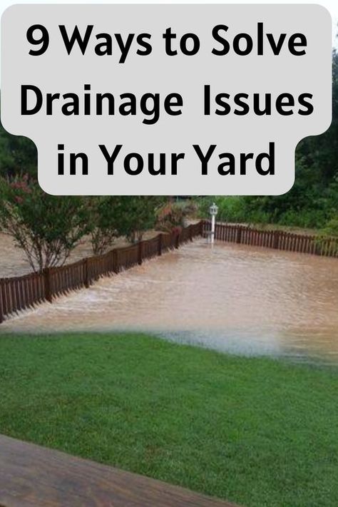 9 ways to solve drainage issues in your yard Fence Line Drainage, Rock Drainage Ditch, Garden Drainage Ideas, Garden Drainage Solutions, Backyard Flooding Solutions, Backyard Drainage Ideas, Water Drainage Ideas Yards, Erosion Plants, How To Level Yard