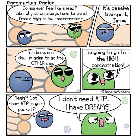 #science #biology #scicomm #sciart #molecules Cell transport, passive transport, ATP Cell Biology Memes, Science Jokes Biology, Bio Chemistry, Amoeba Sisters, Passive Transport, Biology Jokes, Biology Memes, Biology Activity, Cell Transport