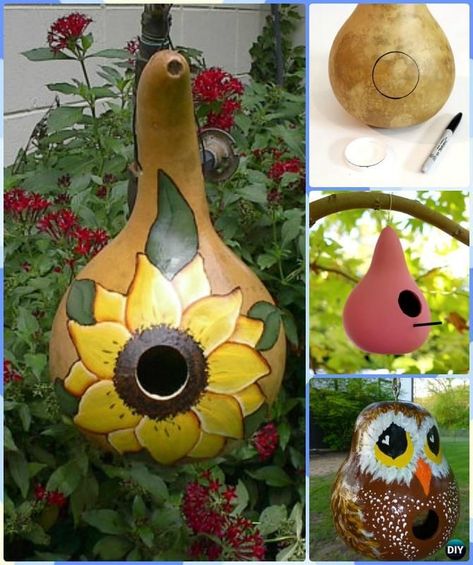 how to prepare gourds for birdhouses - Yahoo Image Search Results Gourd Bird Houses, Bird Painting Diy, Arts And Crafts For Adults, Arts And Crafts For Teens, Gourds Birdhouse, Decorative Gourds, Hand Painted Gourds, Birdhouse Designs, Easy Halloween Crafts