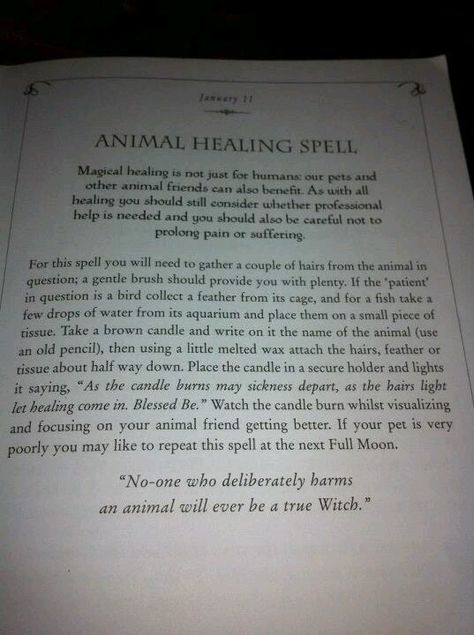 Healing Spells | Animal healing spell Spell For Pet Health, Healing Spells For Animals, Dog Healing Spell, Animal Healing Spell, Cat Healing Spell, Pet Health Spell, Healing Spell For Pets, Pet Healing Spell, Pet Protection Spell Jar