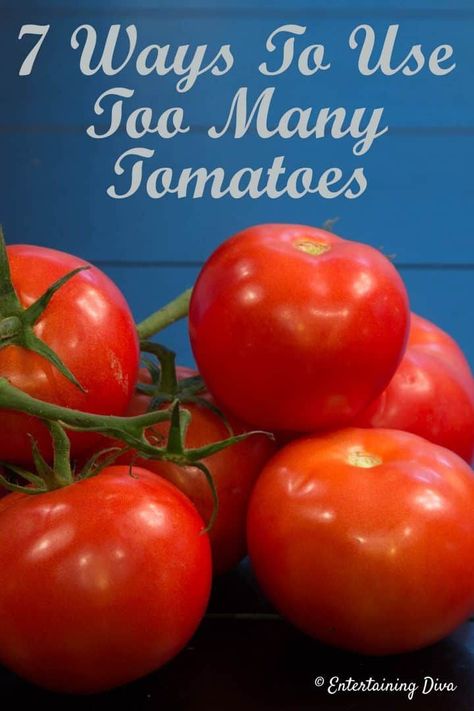 Greek Tilapia Recipe, Abundance Of Tomatoes, Too Many Tomatoes, Recipes Using Ground Turkey, Pesto Pasta Recipes Chicken, Turkey Chili Crockpot, Refreshing Salads, Tomatoes Recipes, One Pot Spaghetti