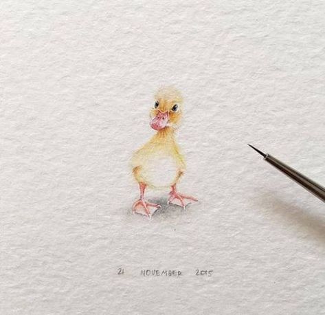 Mini Drawings, Bird Drawings, Cute Little Things, Mini Paintings, Watercolor Animals, Inspiration Art, Caricatures, Miniature Art, Miniature Painting