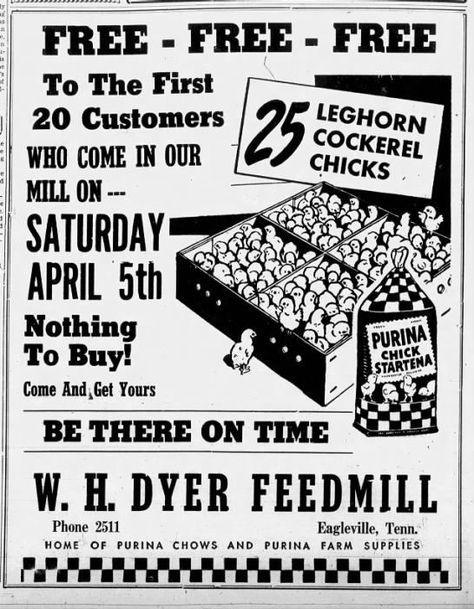 The Rutherford Courier Smyrna, Tennessee 01 Apr 1952, Tue • Page 2 Smyrna Tennessee, Home Phone, Farm Equipment, Tennessee