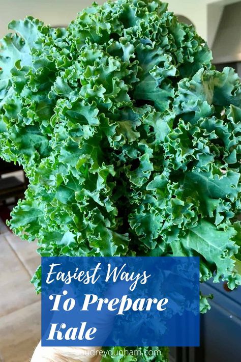 You no longer have to be intimidated by kale! Learn how to easily prep this popular green with my favorite easy way to prepare kale. Kale And Carrots Recipes, How To Cook Kale Greens On Stove, How To Cook Kale On Stove, Cooking Kale, Cook Kale, Types Of Kale, Homemade Kale Chips, Types Of Lettuce, How To Cook Kale