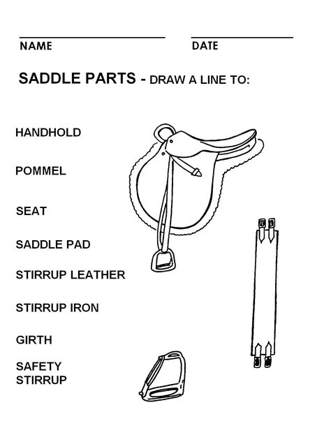 Parts of an English Saddle. Pony Club Worksheets, Parts Of Horse Worksheet, Horse Lesson Plans, Horse Worksheets, Equine Therapy Activities, Parts Of An English Saddle, Therapeutic Riding, English Horse Tack, Horse Club