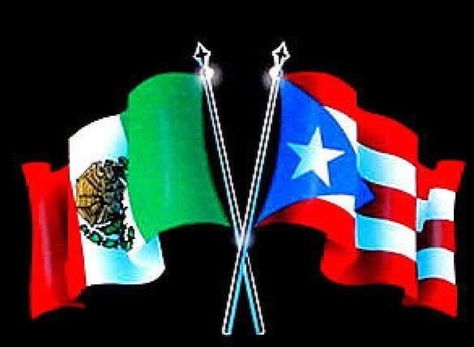 I am a VERY proud Hispanic woman. I am 75% Mexican snd 25% Puerto Rican. Spanish wasn't my first language, but it is my native tongue. I can speak fluent Spanglish.(; Mexican Flag Tattoos, Pr Flag, Mexico Tattoo, Mexico Wallpaper, Puerto Rico History, Puerto Rico Art, Puerto Rican Flag, Puerto Rican Pride, Puerto Rico Flag