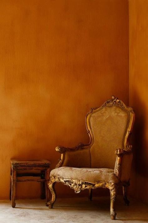 Orange Paint, Colour Board, Hotel Lobby, Wall Treatments, Shades Of Orange, Unique Furniture, Wall Paint, Wall Colors, Burnt Orange