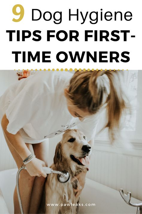 Dog Owning Tips, Why My Dog Keeps Scratching, Healthy Dog Tips, Dog Care Tips Pet Grooming, Dog Hygiene, Owning A Dog, Dog Tips Life Hacks, New Dog, Dog Tips