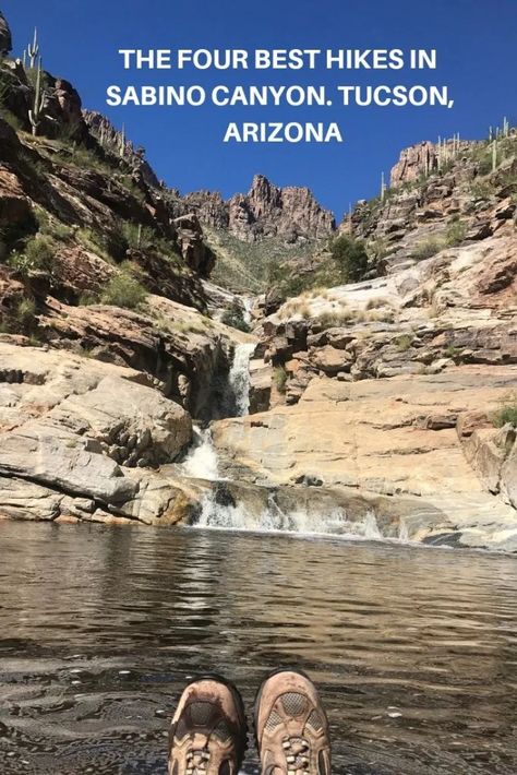 Backpacking Europe Packing, Hiking Arizona, Sedona Arizona Travel, Arizona Tucson, 2 States, Arizona Travel Guide, Travel Arizona, Arizona Camping, Arizona Adventure