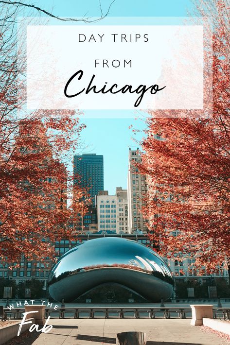 Day Trips From Chicago: 10 of the Best Places to Visit in 2023 Day Trips From Chicago, Chicago Fall, 1 Day Trip, Indiana Dunes, Chicago Travel, The Windy City, Windy City, Best Places To Visit, Best Places To Travel