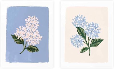 Amazon.com: RIFLE PAPER CO. Hydrangea Bloom Cream Art Print, 8" W x 10" Long, Wake Up Your Walls and Shelves With Illustrated Original Art Prints, Bright White Matte Cover Paper: Posters & Prints Hydrangea Art Print, Hydrangea Illustration, Gouache Inspiration, Hydrangea Artwork, Paper Hydrangea, Hydrangea Wall Art, Hydrangeas Art, Hydrangea Bloom, Cream Art