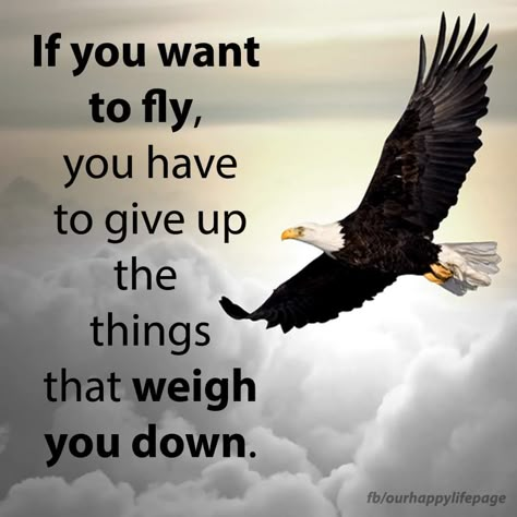 Quotes On Eagle, Eagle Quotes Inspiration, Eagle Quotes, Eagles Quotes, Inpirational Quotes, Reality Of Life Quotes, Genius Quotes, Morning Greetings Quotes, Warrior Quotes