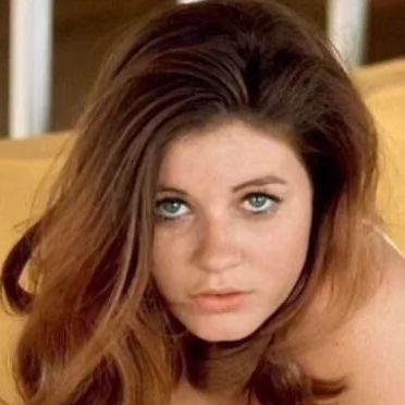 John on Instagram: "The Pretty Patty Duke In A Publicity Photo For The Movie The Valley Of The Dolls, 1967...
#pattyduke #actress #valleyofthedolls #movie #publicityphoto #vintage #1967" The Valley Of The Dolls, Patty Duke, Valley Of The Dolls, The Pretty, The Valley, The Movie, City Photo, Universe, Actresses