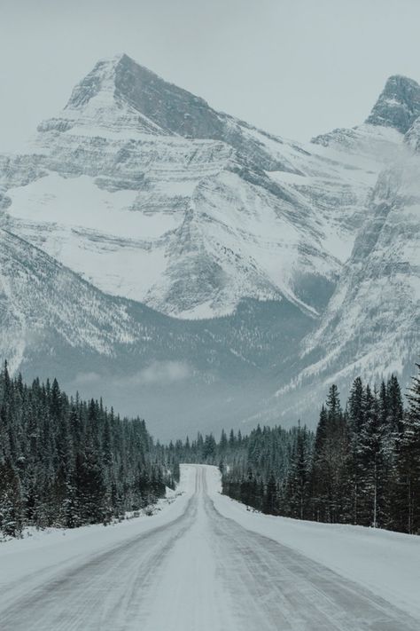 Canada Photography, Winter Szenen, Jasper National Park, Winter Scenery, Swiss Alps, Alam Semula Jadi, Winter Landscape, Winter Scenes, In The Mountains