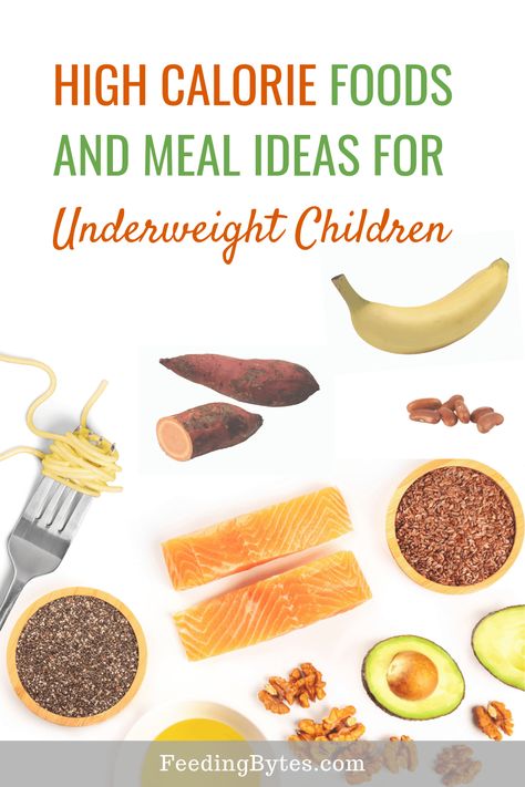 How to feed an underweight child; here are high calorie food options and meal ideas. Feeding Bytes, UK Dietitian #childnutrition #pickyeating #pickyeater #underweightchild #kidsnutrition High Calorie Foods, Meal Nutrition, High Calorie Snacks, Meal Schedule, Child Nutrition, Meal Options, High Calorie, Full Fat Yogurt, Kids Meal