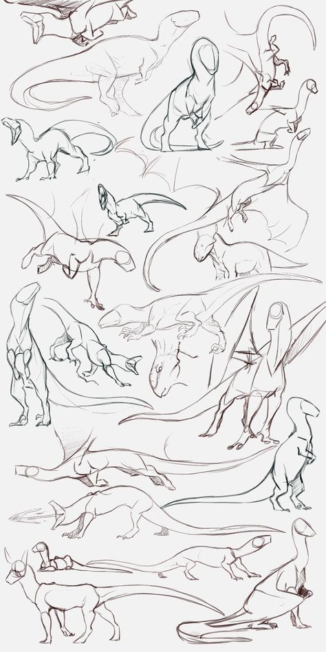 Animal Poses Reference Drawing, Dragon Running Reference, Raptor Pose Reference, Naga Drawing Base, Flipping Someone Off Reference, Dragon Comic Art, Dragon Concept Art Design Reference, Wyvern Art Reference, How To Draw Talons