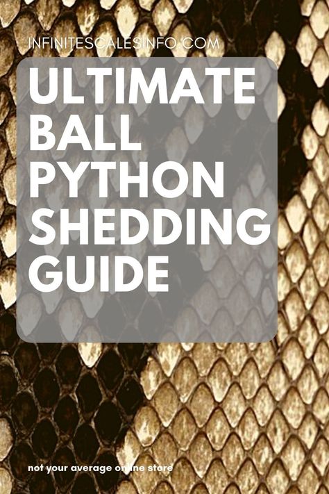 Ball Python Enrichment, Royal Python, Snake Shedding, Ball Pythons, Python Snake, Do's And Don'ts, Ball Python, A Snake, Snakes