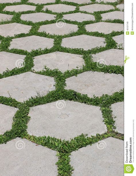 Hexagonal Tiles Stock Photo - Image: 45121749 Hexagonal Pavers, Paver Garden Ideas, Backyard Cement, Paver Garden, Bee Cafe, Diy Paving, Grass Paving, Garden Ideas Diy, Hex Tiles